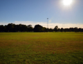 Concord Oval