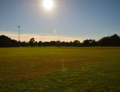 Concord Oval