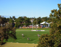 Concord Oval