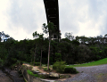 Tunks Park