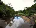 Tunks Park