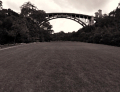Tunks Park