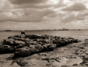 Botany Bay