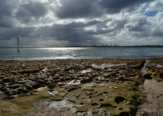 Captain Cook's Landing Place in Australia