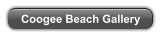 Coogee Beach Gallery