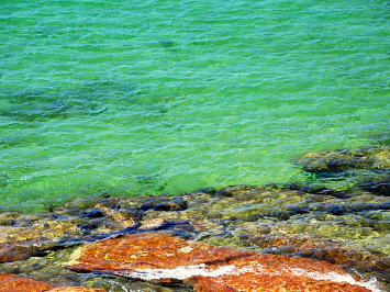 Little Bay