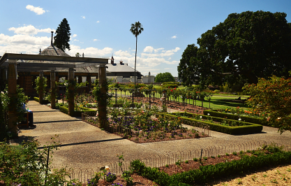 The Royal Botanic Gardens, Sydney