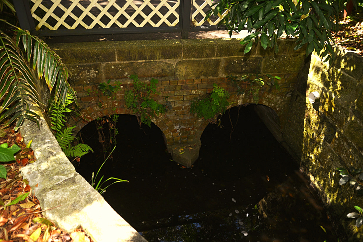 Australia's Oldest Bridge Located in Sydney's Botanic Garden