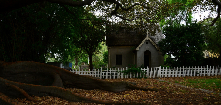 The Royal Botanic Gardens, Sydney