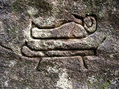 Hieroglyphics close up