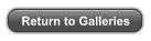 Return to Galleries