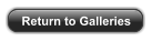 Return to Galleries