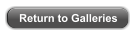 Return to Galleries